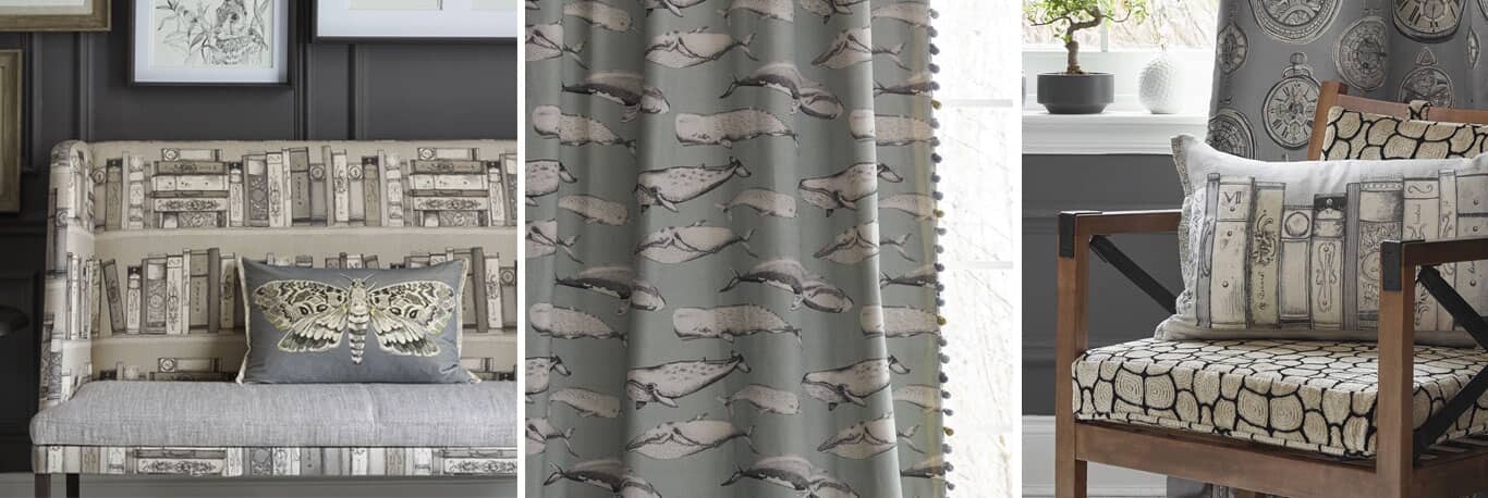 Voyage Decoration Natural History Collection Voyage Decoration Natural History Collection
