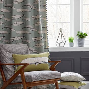 Voyage Decoration Natural History Collection Voyage Decoration Natural History Collection