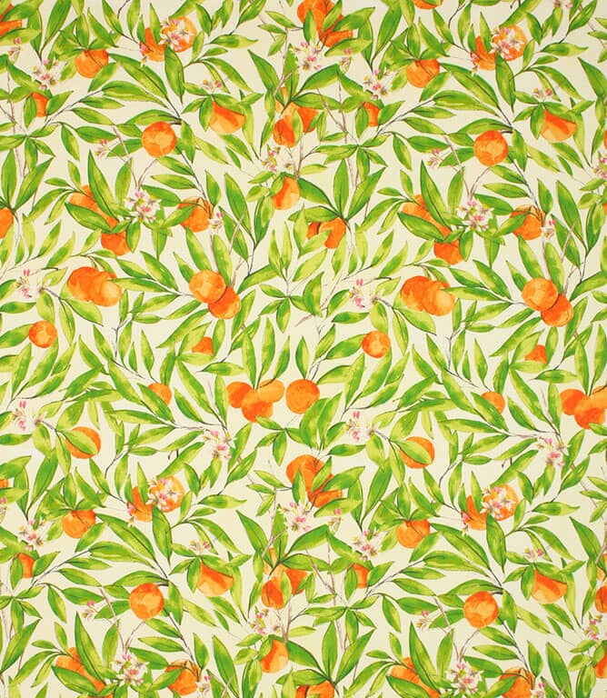 Bergamot Fabric / Orange Bergamot Fabric / Orange