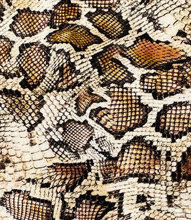 Reptile Fabric / Brown