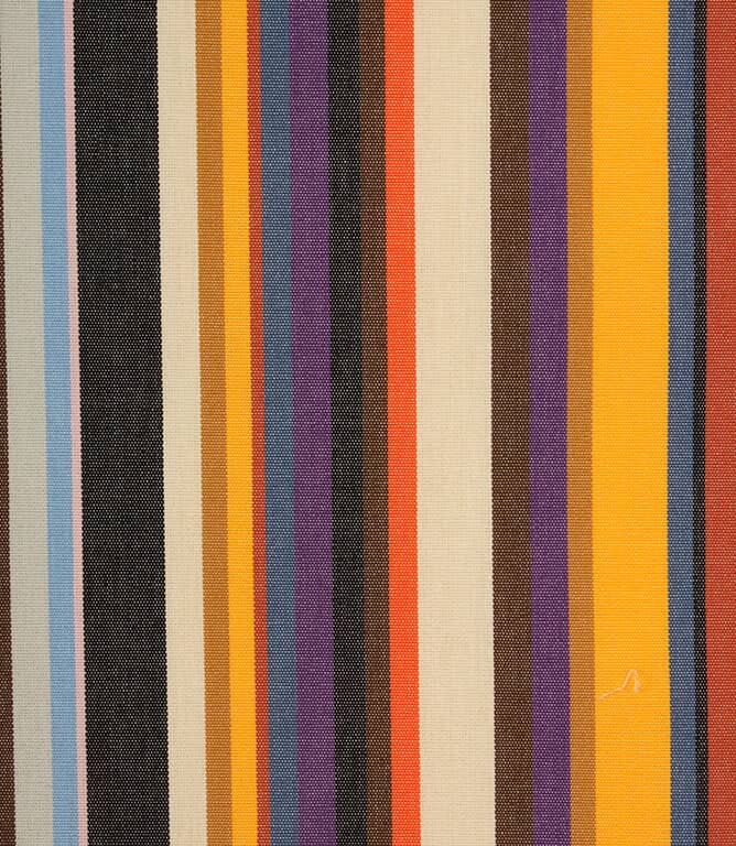 Vera Outdoor Fabric / Technicolour