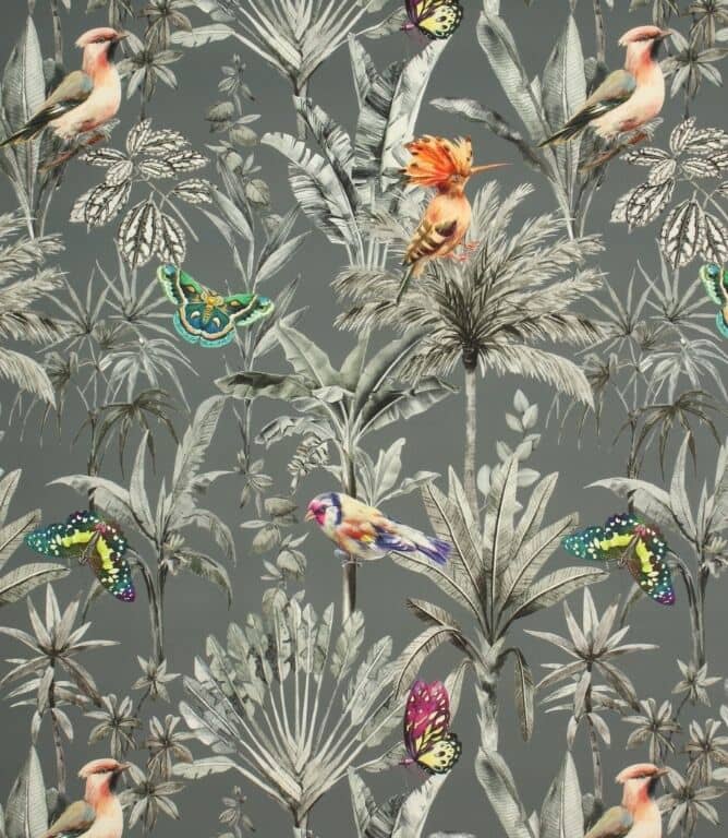 Jealous Jay Velvet Fabric / Grey Jealous Jay Velvet Fabric / Grey