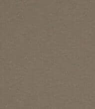 Albury Faux Leather FR Fabric / Taupe
