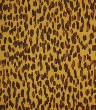Movement Outdoor Fabric / Africa
