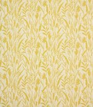 Wild Grasses Fabric / Citrus