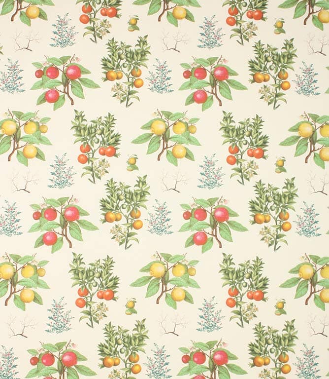 Zesty Fabric / Cream Zesty Fabric / Cream
