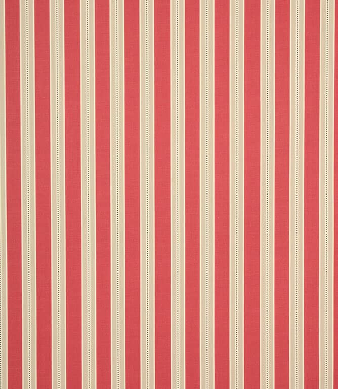 Daisy Stripe Fabric / Raspberry Daisy Stripe Fabric / Raspberry