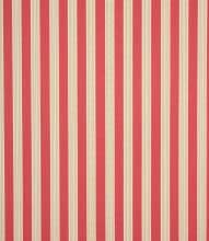 Daisy Stripe Fabric / Raspberry