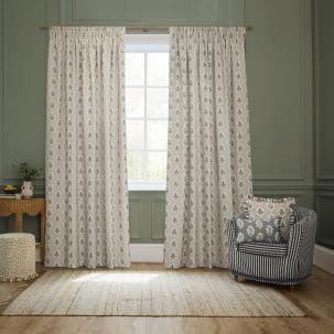 Sessile Leaf Delph Blue