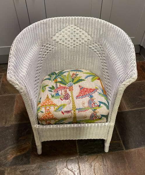 Cheeky Monkey Seat Cushion