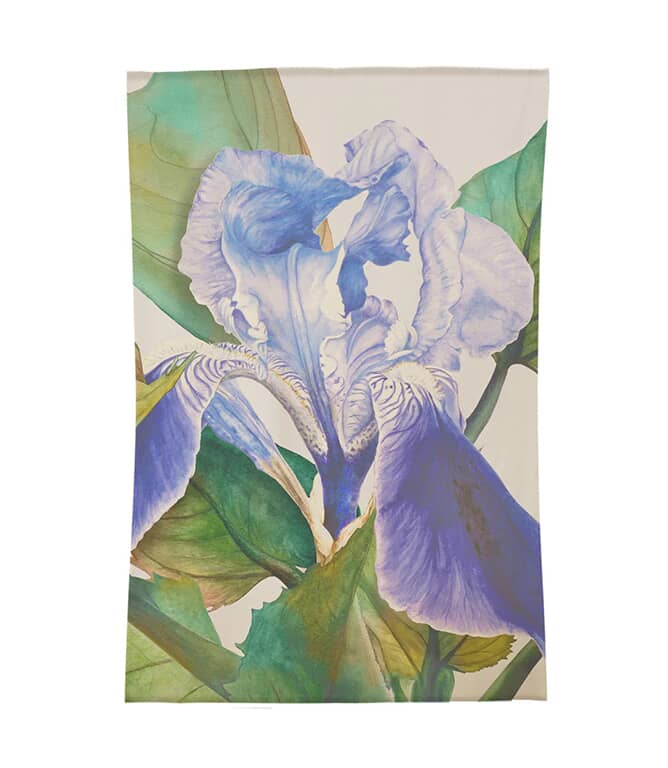 Darwen Cornflower Rug