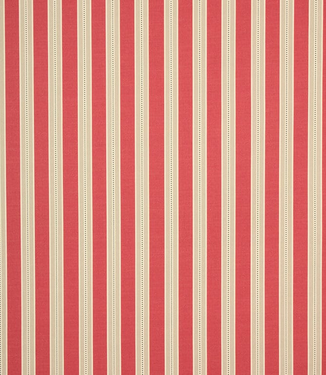 Daisy Stripe Fabric / Raspberry