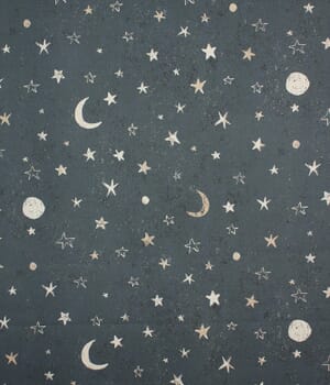 Moon Stars Fabric