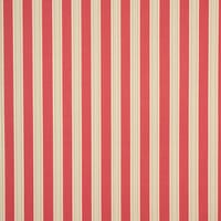 Daisy Stripe Fabric / Raspberry Daisy Stripe Fabric / Raspberry