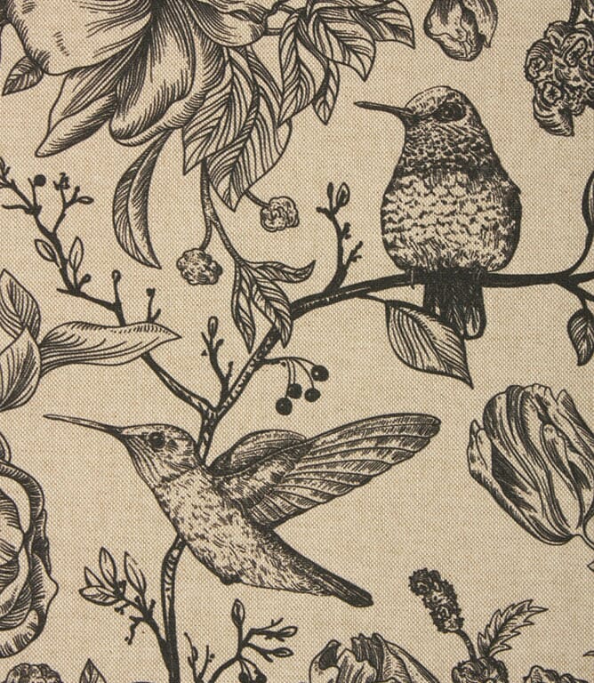 Wild Hummingbirds Fabric / Black