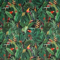 Jungle Velvet Fabric / Black Jungle Velvet Fabric / Black