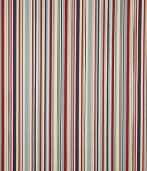 Funky Stripe Fabric