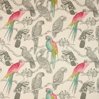 Aviary Fabric / Begonia Aviary Fabric / Begonia
