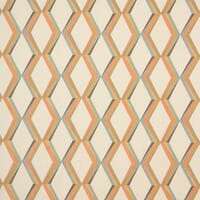 Paragon Fabric / Mandarin