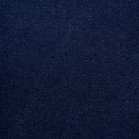 Adley FR Velvet Fabric / Prussian