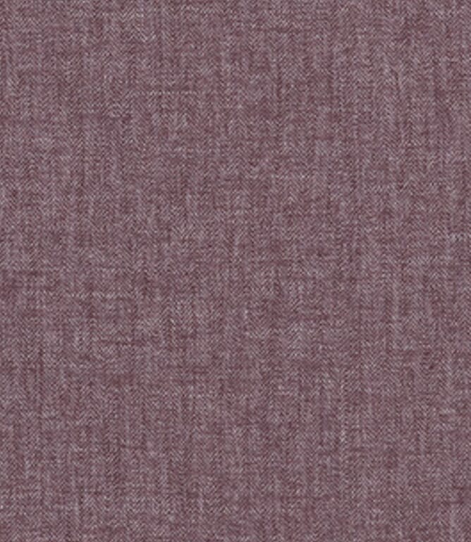 Aubergine