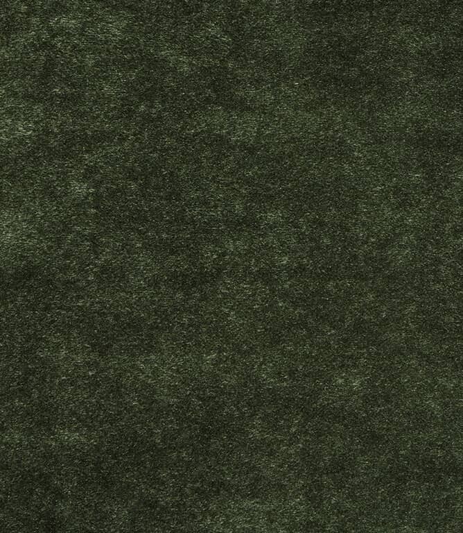Evergreen Fabric