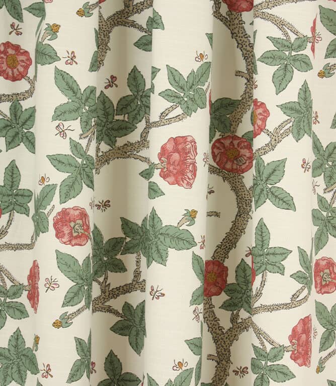 Sasha Fabric / Multi