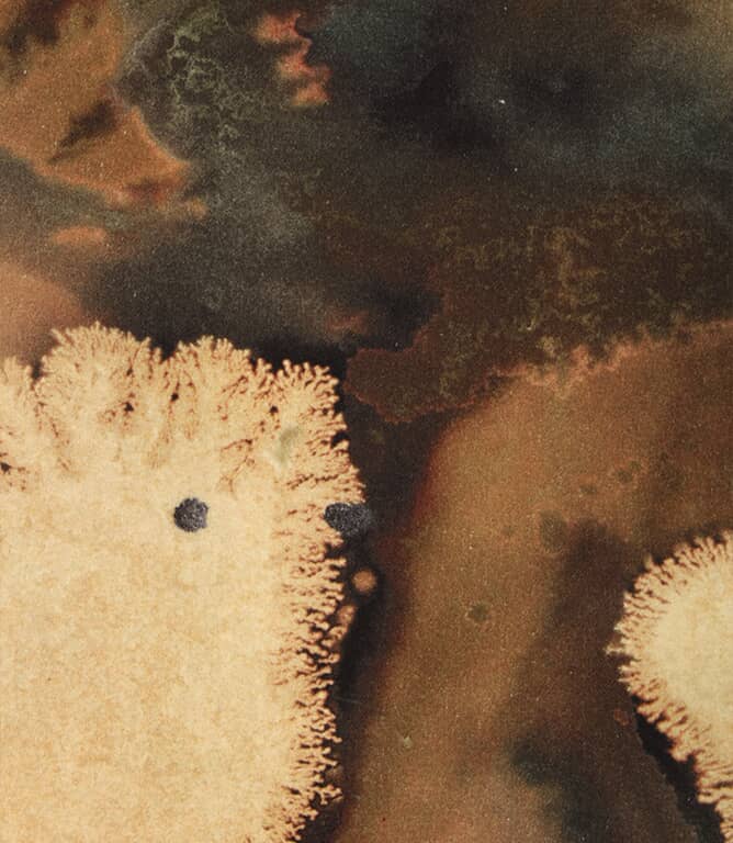 Blaise Fabric / Sand