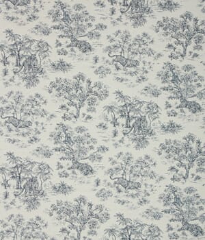 Indian Toile Fabric