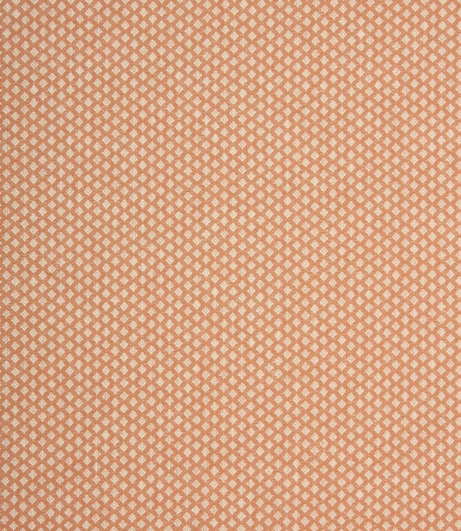 Burnt Orange Woodley Fabric