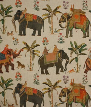 Indicus Fabric / Multi Indicus Fabric / Multi