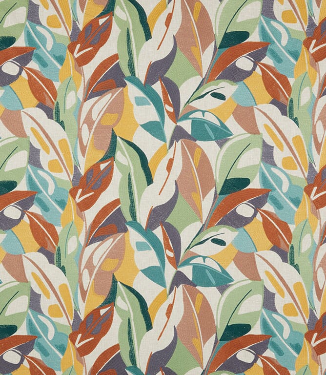 Fern