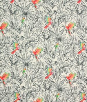 Macaw Outdoor Fabric