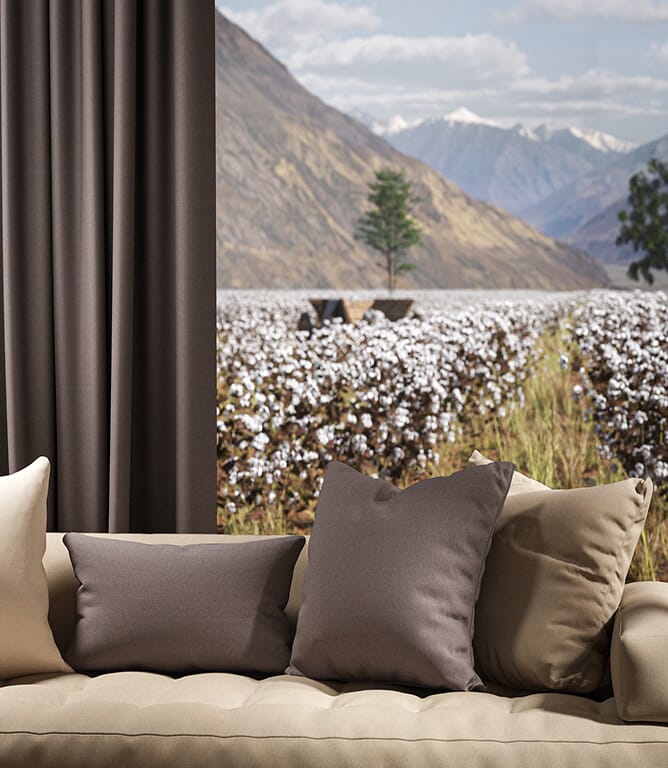 Warwick Fabrics Oxford Fabric / Dove Warwick Fabrics Oxford Fabric / Dove