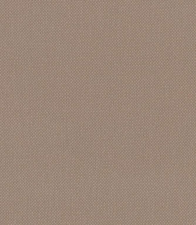 Desert Oxford Fabric