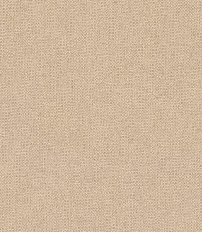 Butter Oxford Fabric