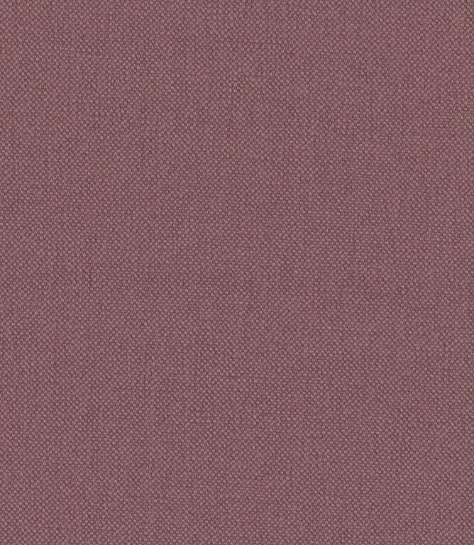 Hyacinth Oxford Fabric