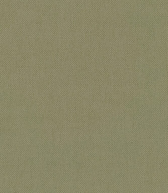 Celery Oxford Fabric