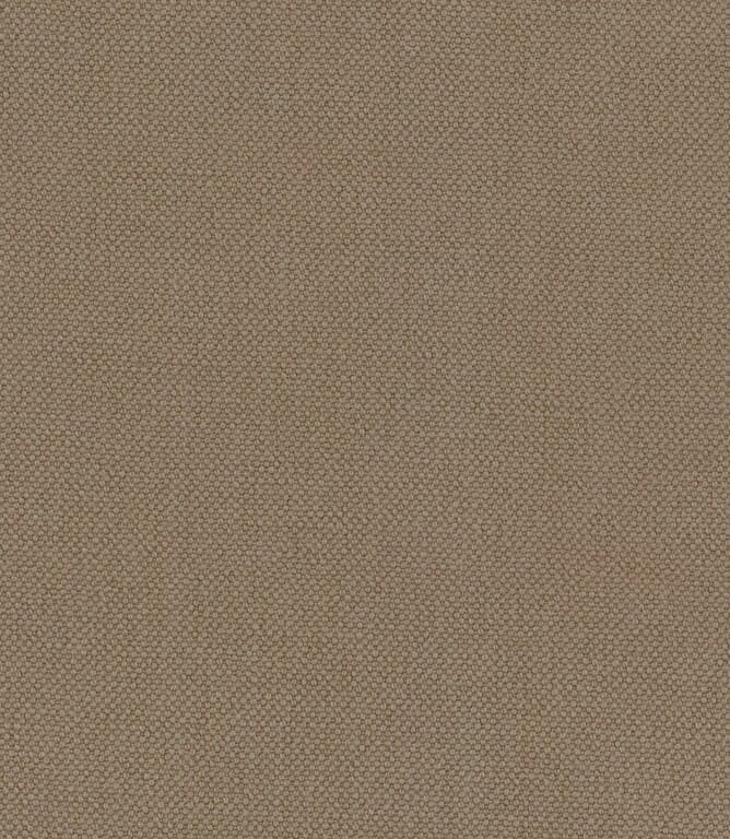 Chino Oxford Fabric