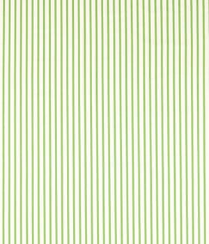 Ribbon Stripe Fabric / Peridot Ribbon Stripe Fabric / Peridot