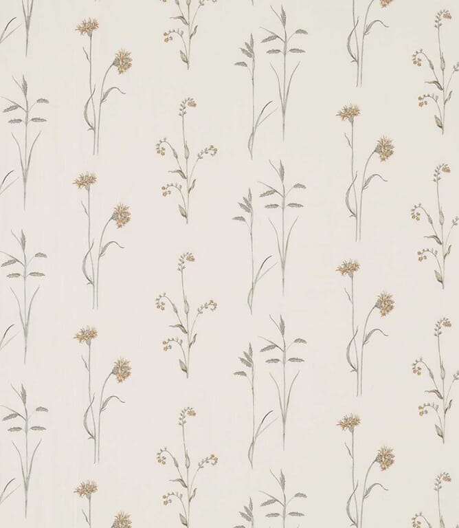 Sage / Honey
