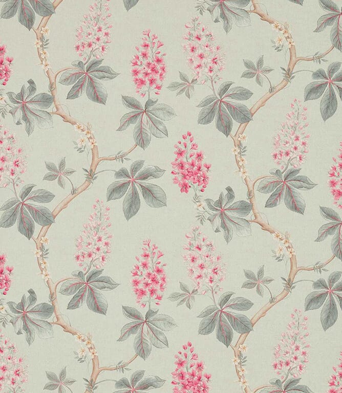 Seaspray / Peony