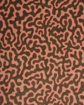 Aristora Velvet Fabric / Blush Aristora Velvet Fabric / Blush
