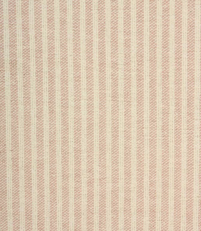 Pale Pink Fabric