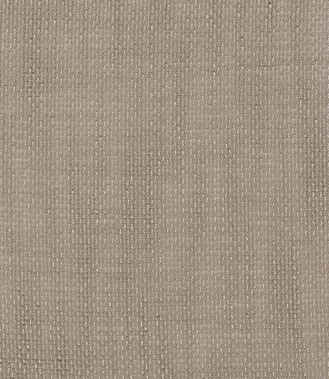 Latte Uni Voile Fabric
