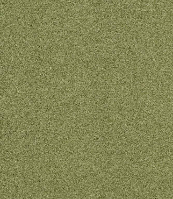 Carwyn Fabric / Moss