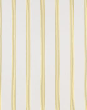 iLiv Newport Fabric / Citrus iLiv Newport Fabric / Citrus