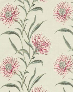 Sanderson Catherinae Embroidery Fabric / Fuchsia