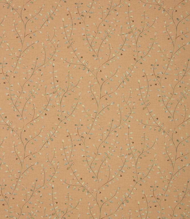 Apricot