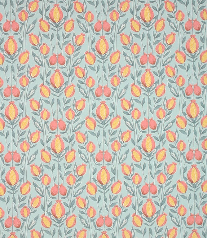 Cornflower